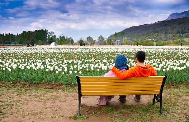Kashmir Honeymoon